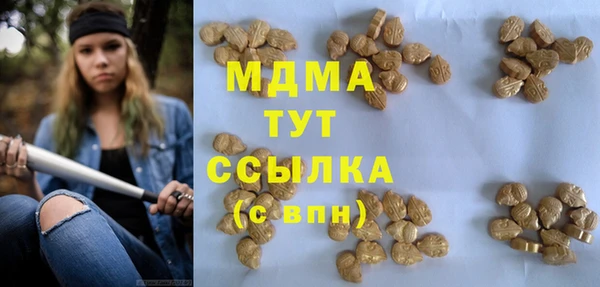 гидропоника Лагань