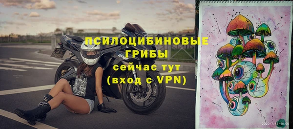 меф Ладушкин