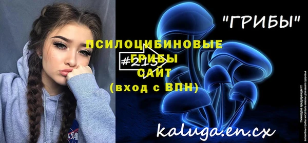 гидропоника Лагань