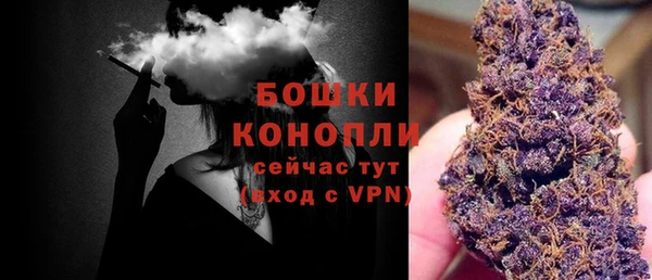 гидропоника Лагань