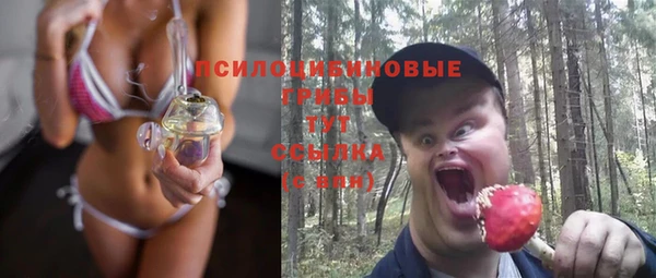 гидропоника Лагань
